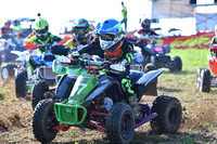 Scooters PeeWee Quad